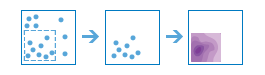 Calculate Density Calculate Density